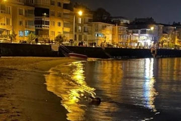 Mudanya'da su samuru görüldü 