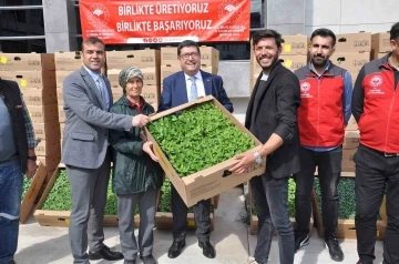 Muğla’da 450 üreticiye 800 bin yerli fide dağıtıldı
