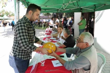 Muğla’da ’En güzel kavun’ yarışması
