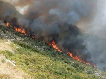 Muğla’da orman yangını
