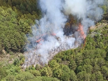 Muğla’da orman yangını
