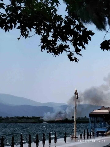 Muğla’daki sazlık yangını söndürüldü
