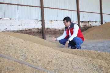 Muğla Tarım ve Orman Müdürü Saylak; “Kimsenin ürünü tarlada kalmayacak”
