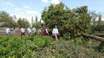 Muğla'da dolu ve fırtınadan etkilenen tarım alanlarında hasar tespiti yapıldı