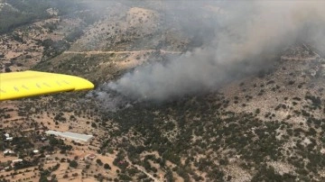 Muğla'da makilik ve tarımsal alanda yangın çıktı