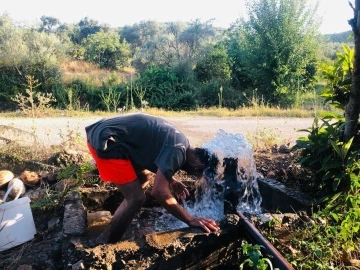 Narenciye üreticileri sıcakta hem ağaçları hem kendilerini suluyor
