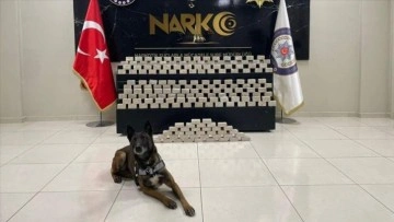 Narkotik operasyonlarında bir haftada 3 bin 83 şüpheli yakalandı