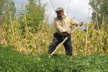 Ne kalp krizi ne ayı dinledi: Meşhur pala sıhhatine çalışmayla kavuştu
