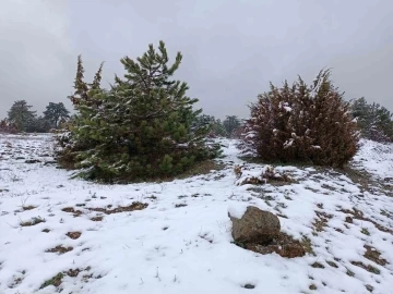 Nisan ayında yağan kar vatandaşı şaşkına çevirdi
