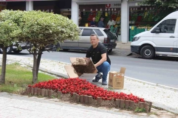 Oğul arılar tedirgin etti
