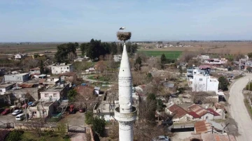 Önce kazazede, sonra depremzede oldu: &quot;Yuvası sapasağlam&quot;
