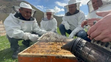 Ordu’da arıcılara ilaç desteği
