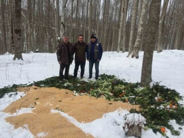 Ordu’da yaban hayvanları için doğaya yem bırakıldı
