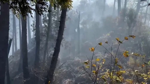 Orman yangınına müdahale çevre illerden destekle devam ediyor
