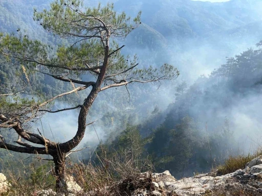 Orman yangınında 23. saat geride kaldı
