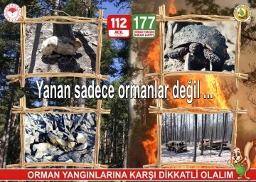 Orman yangınlarına karşı vatandaşlar uyarıldı
