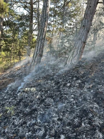 Ormanda yıldırım düşmesi sonucu çıkan yangın söndürüldü
