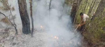 Ormanlık alandaki yangın büyümeden söndürüldü
