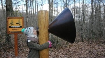 Ormanya'ya gelen ziyaretçiler, doğanın sesini akustik ortamda dinliyor