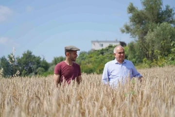 Örnek projeyle atıl araziler üretime kazandırıldı, ilk hasat yapıldı
