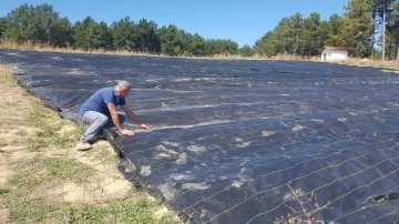 Örtü sistemi &quot;Dünyanın en pahalı baharatı&quot; safranda erken üretimi sağlayacak
