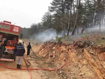 Örtü yangını büyümeden söndürüldü
