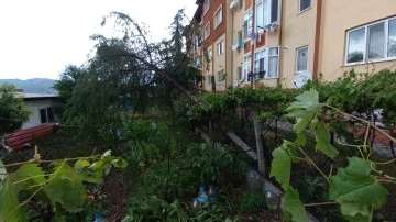 Osmancık’ı fırtına ve sağanak vurdu: Çatılar uçtu, ağaçlar söküldü, caddeler göle döndü
