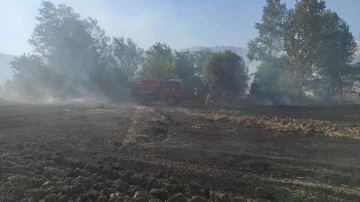 Osmaneli’de 20 dönümlük buğday tarlası yangında kül oldu
