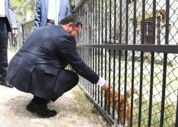 Osmangazi Belediye Başkanı Erkan Aydın: Hayvanları uyutmayıp kısırlaştıracağız