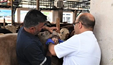 Osmangazi Belediyesi'nin kurban pazarlarındaki denetimleri devam ediyor! 