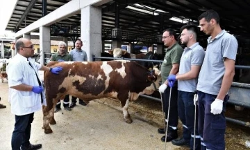 Osmangazi’de kurban yakalama timleri görev başında