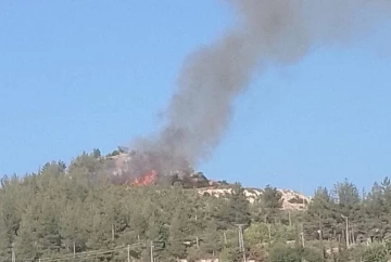 Osmaniye’de çıkan orman yangını kısa sürede söndürüldü
