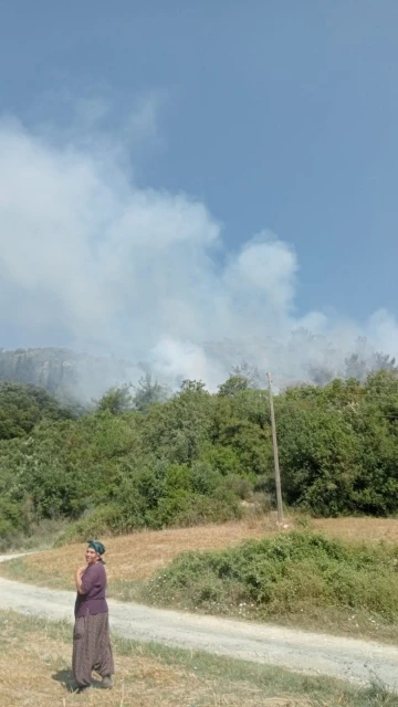 Osmaniye’de orman yangını: Ekipler müdahaleye başladı
