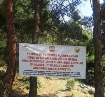 Osmaniye’de ormanlık alanlara girişler yasaklandı