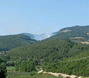 Osmaniye’deki orman yangını söndürüldü
