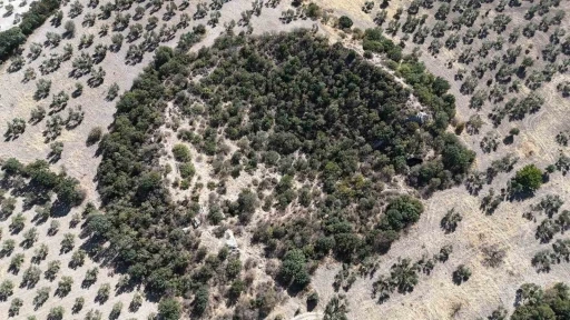 2 bin 400 yıllık tiyatro