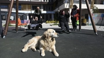 Özel çocuklar deprem travmasını özel eğitimli köpek "Max" ile atlatmaya çalışıyor