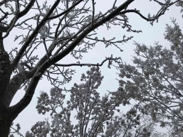 (ÖZEL) Eskişehir’de etkili olan kırağı eşsiz manzaralar sundu
