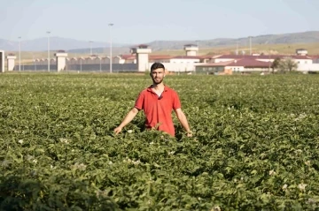 (ÖZEL) Fenomen çiftçinin Afyon şivesiyle yaptığı espriler dilden dile dolaşıyor
