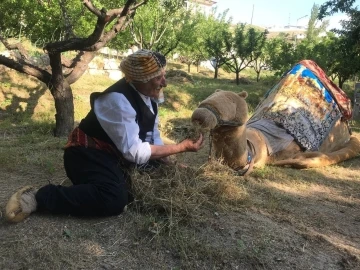 Özel günlerin aranan eğlencesi Geleneksel Deve Oyunu her yaştan insanların ilgisini çekiyor
