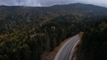 Uludağ’da sonbahar güzelliği