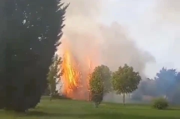 Parkta çıkan yangın itfaiye ekiplerince söndürüldü
