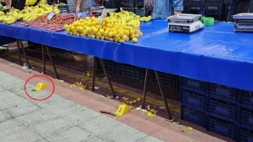 Pazarcı kardeşler, tartıştıkları 2 kardeş tarafından pompalı tüfekle vuruldu