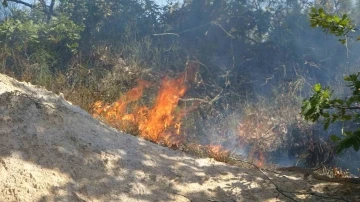 Pendik Kurtdoğmuş Köyü’nde korkutan yangın: Köylüler seferber oldu
