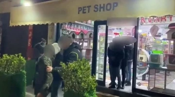 Pet shop’ta düzensiz göçmen operasyonu