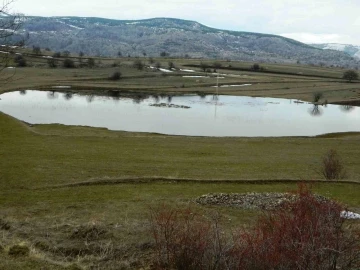 Posof’ta da buzlar çözülüyor
