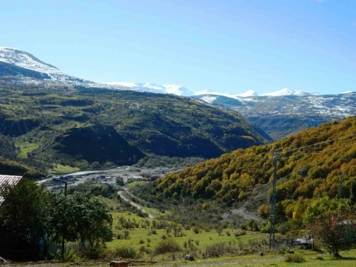 Posof’ta yeşil ile beyazın buluşması görsel şölen oluşturuyor
