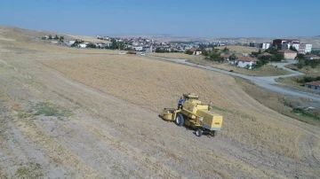 Pursaklar’da hasat vakti
