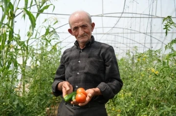 &quot;Ata tohumu memleket meselesi&quot; diyen 74 yaşındaki çiftçi ömrünü organik tarıma adadı
