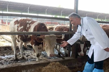 &quot;Kesilen kurban etlerini üst üste koymayın&quot;
